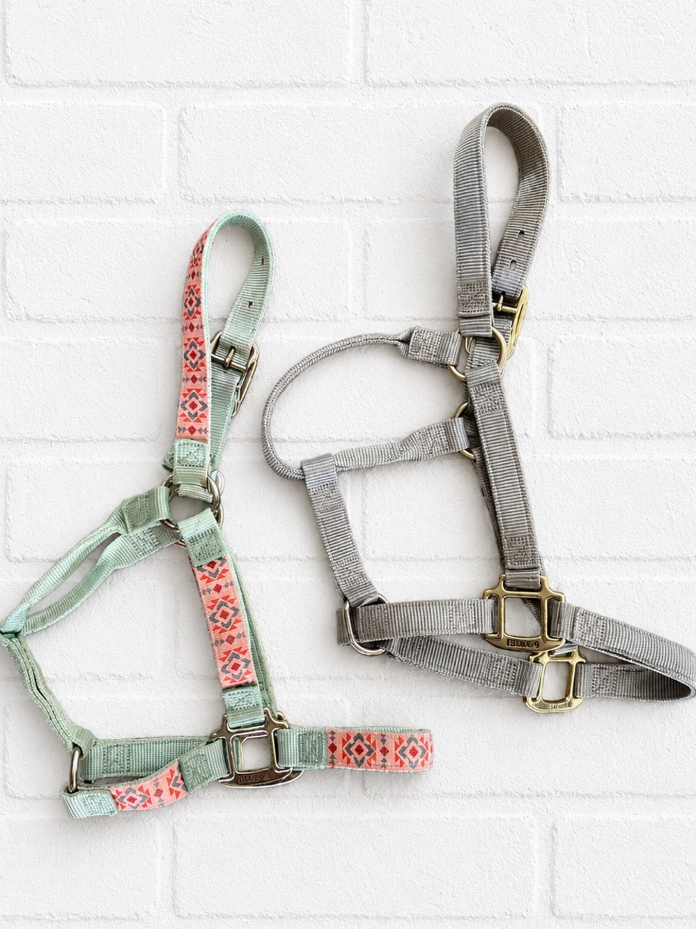 2 equine horse halters